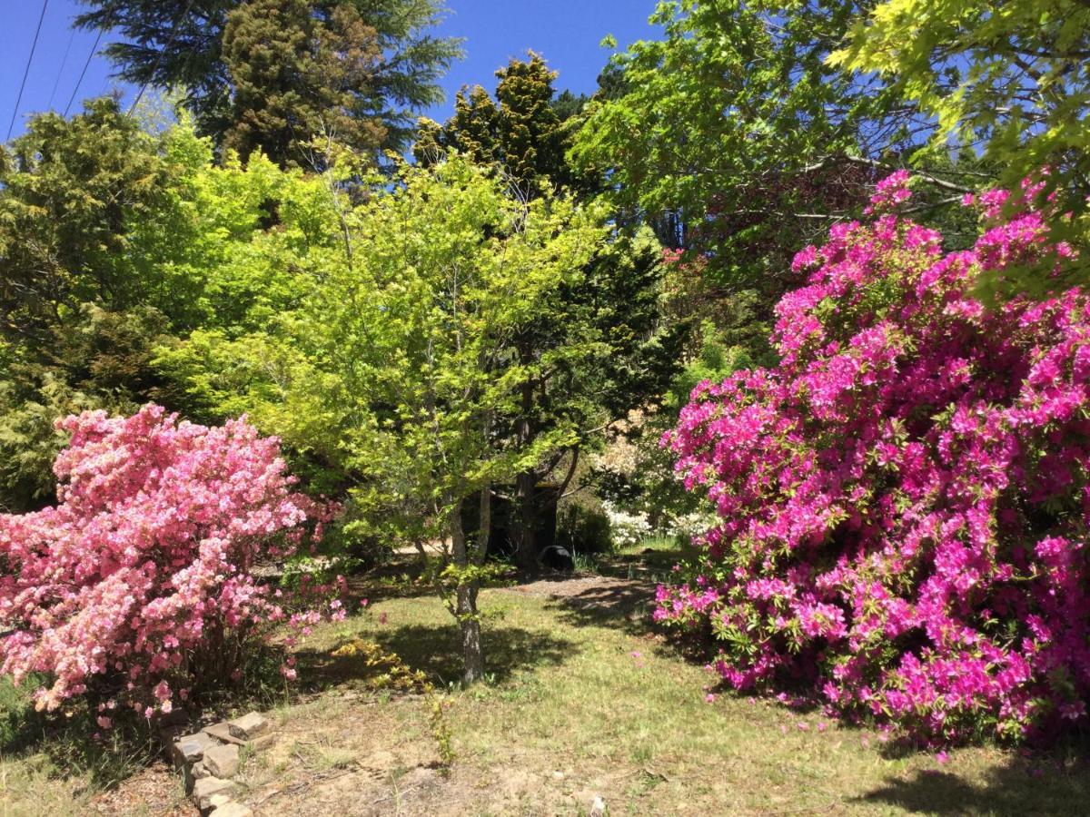 The Wentworth Retreat Villa Wentworth Falls Dış mekan fotoğraf